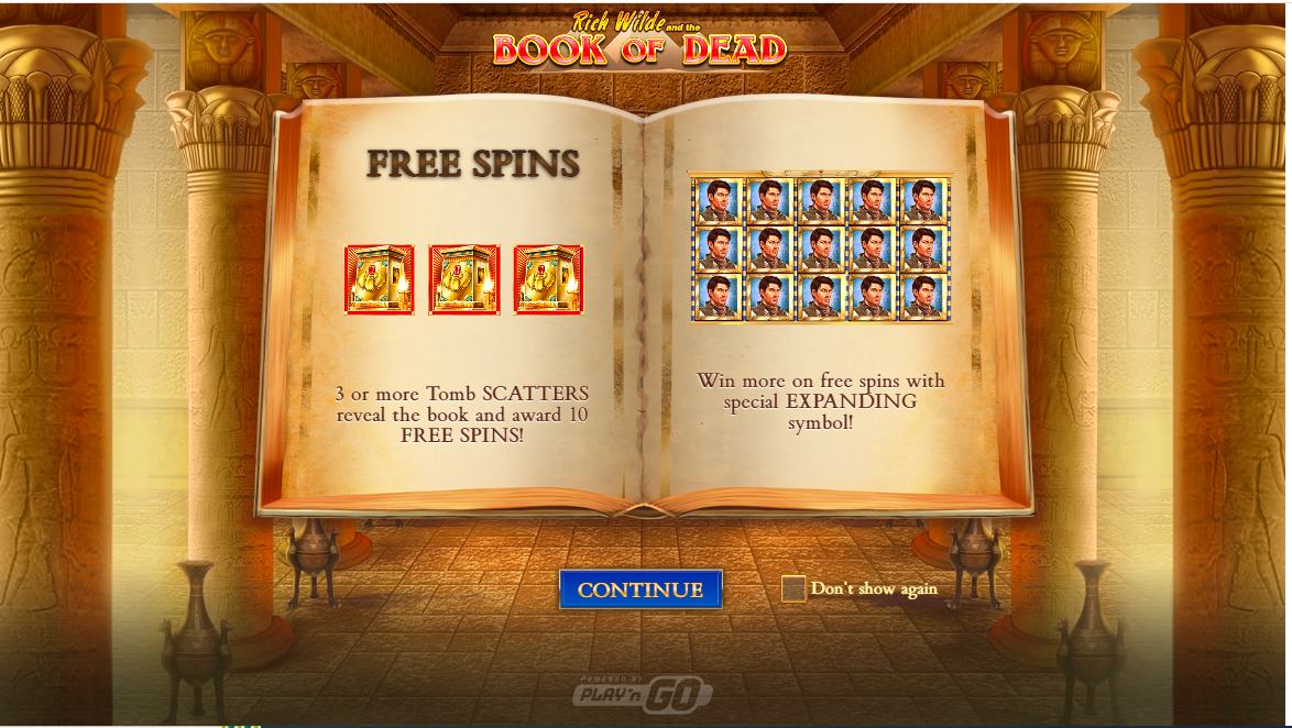 Book of Dead slot